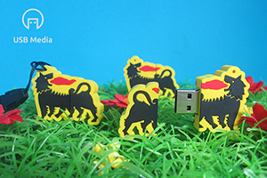 usb_2d_log_flash_disk