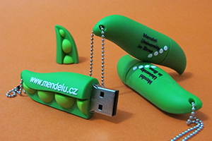 usb_lusk_na_miru